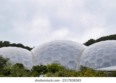 A close-up view of large geodesic domes made of transparent material, surrounded by lush greenery and trees. The sky is overcast, creating a serene atmosphere.At Eden Project in Cornwall - Powered by Shutterstock