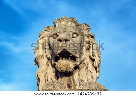 Similar – Image, Stock Photo View of Szechenyi Bridge and St. Stephen Cathedral in Budapest