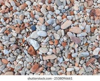 Close-up view of a natural assortment of smooth, colorful pebbles and stones on a beach, showcasing unique textures and earthy tones - Powered by Shutterstock