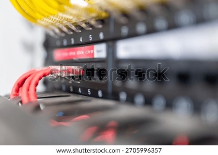 A close-up view of network cables connected to a server rack, highlighting the intricate technology behind data transmission and connectivity in modern IT infrastructure.