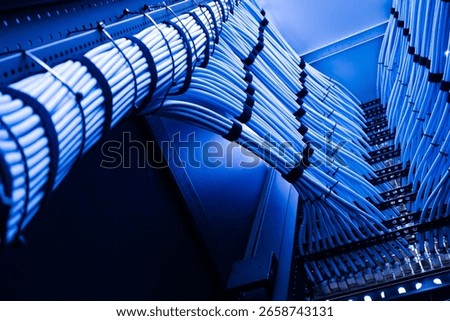 A close-up view of network cables organized neatly in a data center. The blue color and structured layout emphasize the importance of efficient communication technology.
