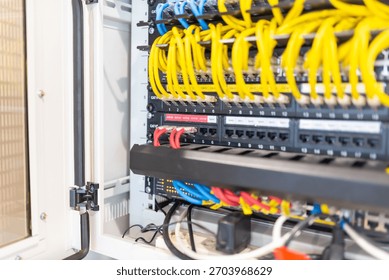 Close-up view of a network rack showcasing organized Ethernet cables in vibrant colors, highlighting advanced technology and efficient data transmission for businesses.