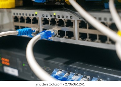 A close-up view of a network switch with multiple Ethernet cables connected, showcasing the complexity of modern technology and data communication systems.