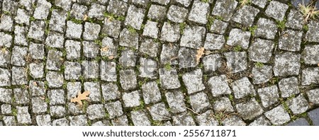 Similar – Image, Stock Photo Cobblestone with moss, autumnal