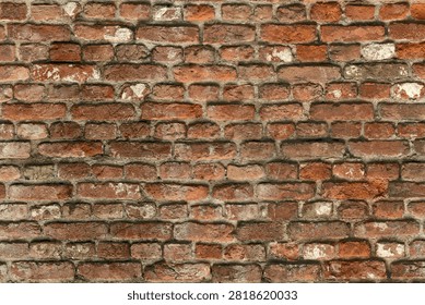 A close-up view of an old, weathered red brick wall with varying shades of red, white mortar, and an aged, rustic appearance.