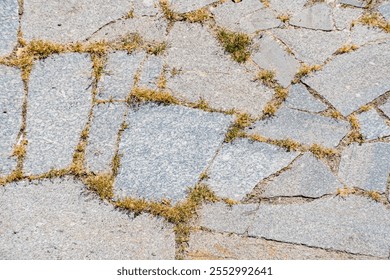 view  gaps pavement