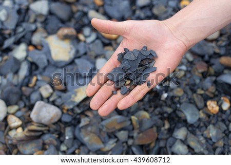 closeup view on hands with pieces of dark  oil shale stones outdoors