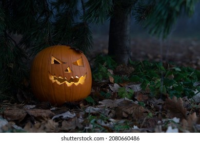 Close-up View Of Orange Halloween Pumpkin With Carved Jack O'Lantern Face Lying By Pine Tree Trunk On The Ground With Fallen Autumn Leaves In Foggy Forest. Copy Space. Handmade Decorations Theme.