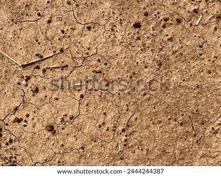 Close-up view of parched, textured soil with stones and scarce greenery, depicting severe dryness and desolation.