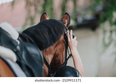 Close-up view of a person holding the reins and gently guiding a horse outdoors, showcasing equestrian activities and the human-animal bond. - Powered by Shutterstock