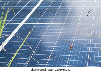 Closeup View Of Photovoltaic Panels Surface Which Installed On The Building's Roof After Washing And Cleaning By The Company's Staffs In The Evening Of The Day.