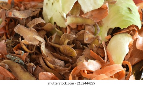 Close-up view of pile of different organic wastes after cooking food at home. Organic waste for composting concept. Peels of potatoes, onion, carrots, white cabbage and other vegetables