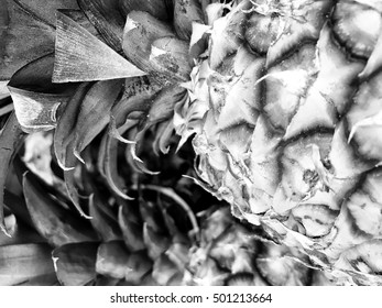 Close-Up view of Pineapple.