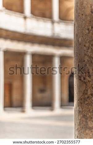 A close-up view of a polished puddingstone column stands out as the circular courtyard of the Palace of Charles V fades in the background.