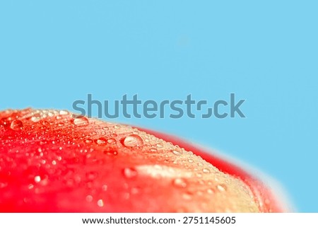 Close-up view of a red apple surface featuring water droplets, set against a clear blue background, highlighting its freshness and texture