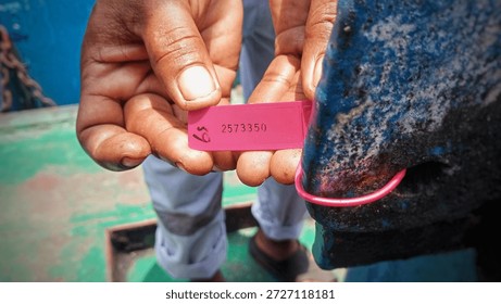 A close-up view of the red plastic security seal with a serial number attached to the ship's mainhole cover.