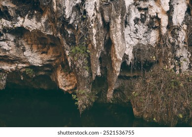 A close-up view of a rocky cave entrance, showing jagged formations hanging over the water with greenery growing in the crevices. - Powered by Shutterstock