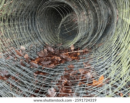 Close-up view of a rolled wire mesh with dried leaves inside, creating a tunnel-like perspective.