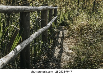 A close-up view of a rustic wooden fence lining a narrow forest path surrounded by lush greenery and tall grass. Sunlight filters through the trees, illuminating the scene. - Powered by Shutterstock