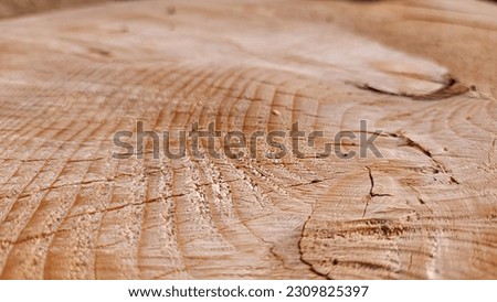 Close-up view of a sawn tree trunk showcasing the intricate texture. The surface of the wood reveals a captivating grain pattern with distinct rings, reflecting the tree's age and growth. 