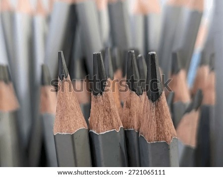 A close-up view of several sharpened graphite pencils with exposed wooden tips, clustered together.