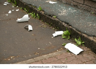 A Close-Up View of Shattered White Objects Scattered on the Sidewalk Surrounded by Greenery and Cracked Pavement