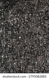 Close-up view showcasing the complex, rugged surface of tree bark, highlighting its deep fissures and varied textures
