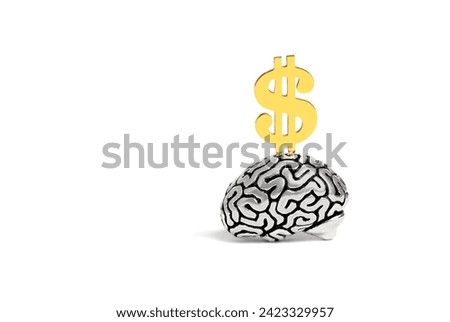 Close-up view of a silver plated human brain model with a golden dollar sign on top isolated on white background. Profound thinking and financial fortune concept.