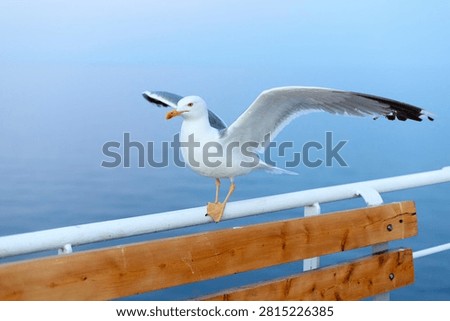 close-up view of a single seagull balancing with spread wings on a ferry boat railing over the blurred blue sea in Greece