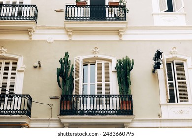 Close-up view of a small elegant balcony with beautiful and exotic plants in flower pots. Typical Spanish or Italian architecture with windows and balcony with cactus. - Powered by Shutterstock