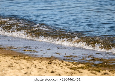 Close-up view of small ocean waves breaking on a sandy shore with scattered seaweed and reflections of sunlight on the water surface