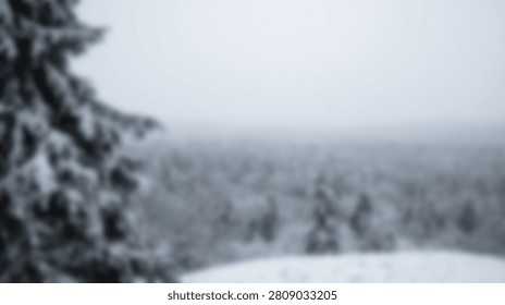 A close-up view of snow-laden pine tree branches in a serene winter forest. The background is softly blurred, showcasing a vast expanse of snow-covered trees under a hazy sky.