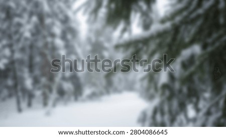 Close-up view of snow-laden pine tree branches during a gentle snowfall in a serene winter forest setting.