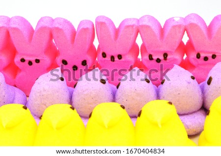 A closeup view of some Easter marshmallow treats.
