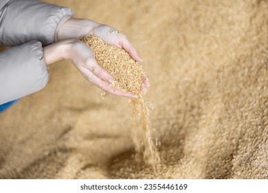 Closeup view of soybean husk animal feed for dairy cattle in hands of farmer in storage area at farm