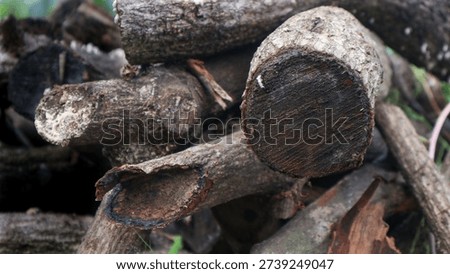 A close-up view of a stack of cut logs, highlighting the wood texture and details.