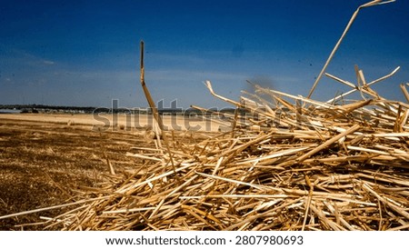 A close-up view of straw piled on a sunny day in a rural landscape, showcasing the golden hues of harvested fields.