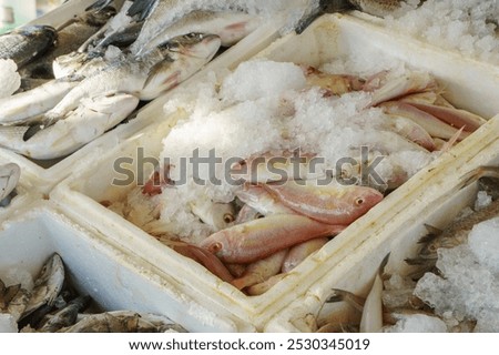 A close-up view of a styrofoam container filled with fresh, silver and red fish on ice. The fish are arranged neatly and are surrounded by ice chips.