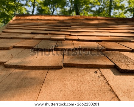 Close-up view of textured cedar shingles on a wooden roof in a sunlit forest, showcasing craftsmanship and natural materials