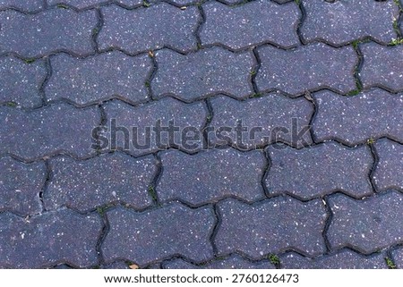 Close-up view of textured purple-gray interlocking paving stones with small green moss and subtle color variations. Ideal for background, texture and architectural projects