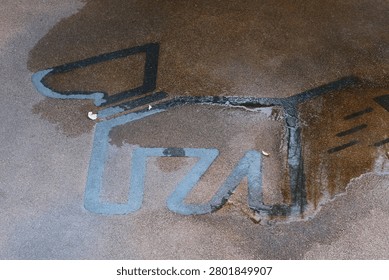 Close-up view of a textured surface with dark lines forming an abstract pattern, partially obscured by water and small debris
