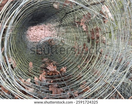 A close-up view through a rolled wire fence, with dried leaves scattered inside. The perspective creates a tunnel-like effect, emphasizing the circular pattern of the wire mesh.