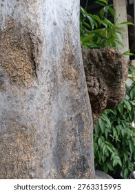 A close-up view of a tree trunk showcasing rich natural textures and character. The bark appears weathered, with rough surfaces, fine cracks, and subtle color variations ranging from gray to brown. In some areas, delicate spider webs stretch lightly across the surface, adding a sense of wildness and detail. A protruding knot enhances the depth of the scene, while the softly blurred green foliage in the background creates a gentle, natural contrast. The image captures both the beauty of nature and its intricate, often unnoticed details.