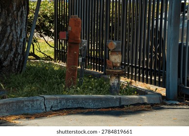 A close-up view of two aging fire hydrants, one red and one rusty, situated near a tall black metal fence and a cracked concrete curb