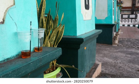 Close-up view of two discarded plastic cups left on a turquoise wall ledge next to a potted snake plant in an urban outdoor setting.