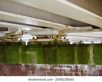 Close-up view of the understructure of a bridge showing steel beams, rust, and mossy concrete.