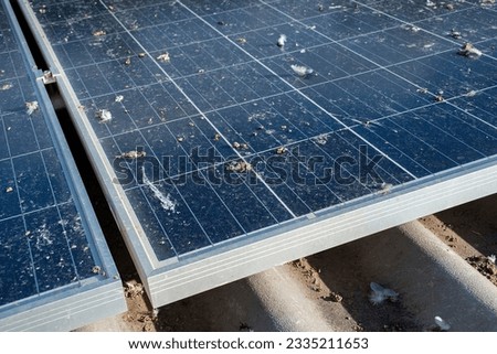 Closeup view of upper surface of solar panels rooftop which are so dirty with pigeon droppings, dust, fog, smoke, feather and birds footprints, solar panel maintenance system concept.