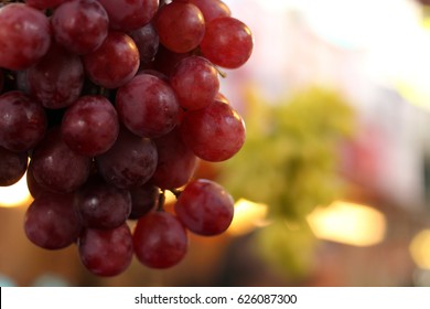 A close-up view of variety fresh red seedless grape hang at local market for sale. Selected focus