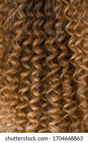 Closeup view vertical photography of amazing beautiful curly female long hairstyle made in professional beauty spa salon.
