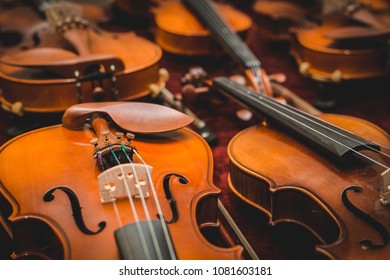 Closeup view of a violin strings and bridge